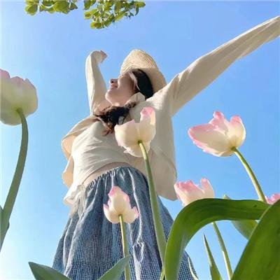 花飞尽、归不归